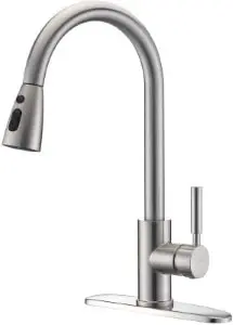 Fonveth Budget Kitchen Faucet under $100